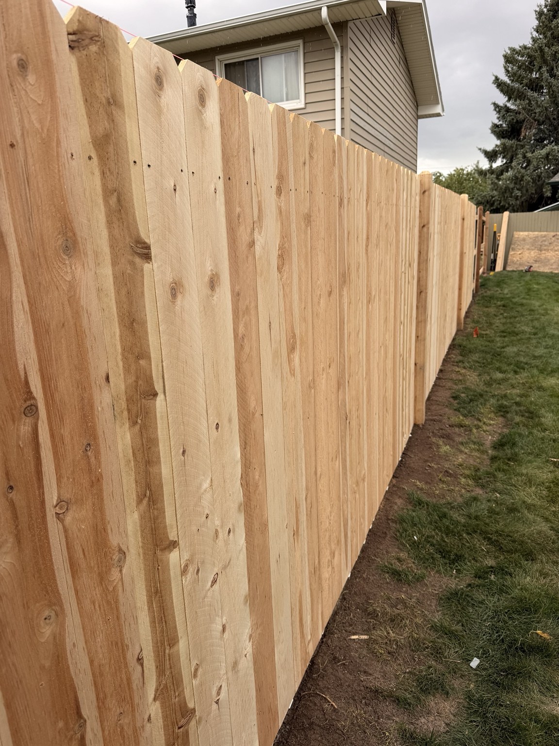 Close view of new cedar privacy fence