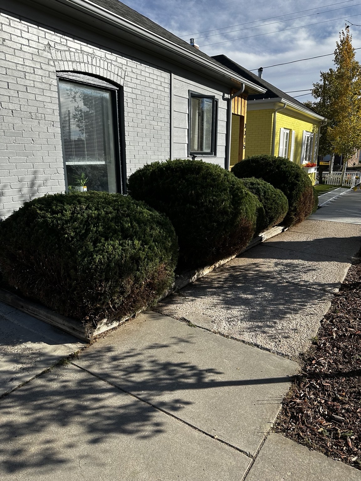 Curved backyard walkway and landscape project by Capital Creations 307